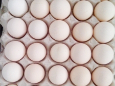 海藍(lán)白 雞蛋